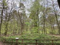 IMG_8306