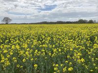 IMG_8320