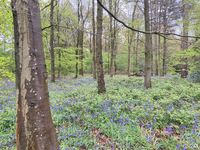 IMG_8351