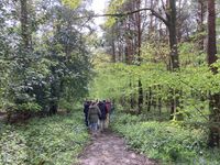 IMG_8361