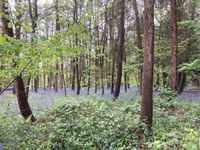 IMG_8370