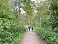 IMG_9387