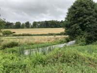 IMG_9965