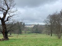 IMG_8028