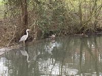 IMG_9194