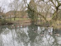 IMG_9197