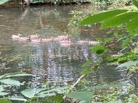 IMG_8706