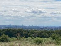 IMG_8713
