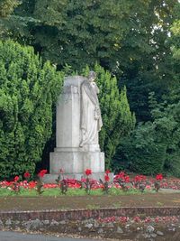 IMG_5294