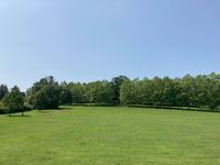 IMG_5307