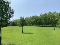 IMG_5308