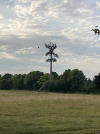 IMG_9585