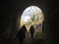 IMG_4239