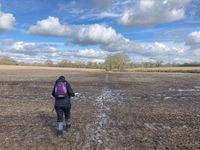 IMG_8062