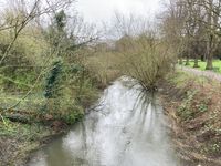 IMG_8116