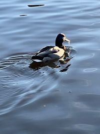 IMG_6860