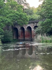 IMG_6879