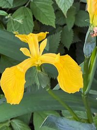 IMG_6897