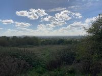 IMG_6354